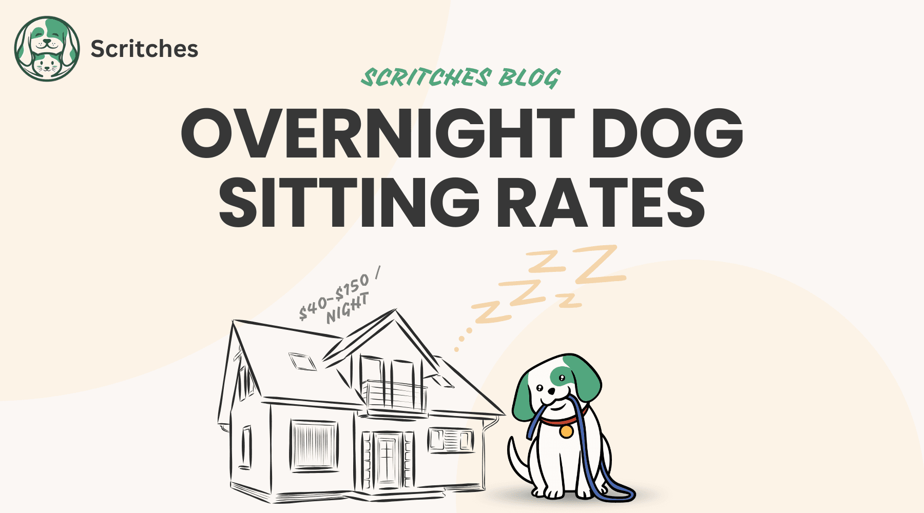 Blog header image for overnight dog sitting rates