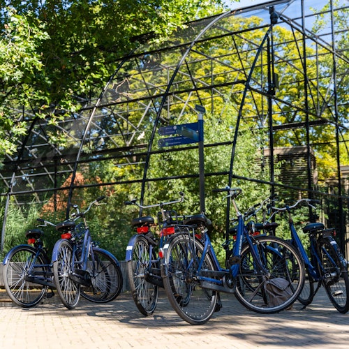 Amszterdam Biciklitúra: Kis Csoportos Jegyek Amszterdamban