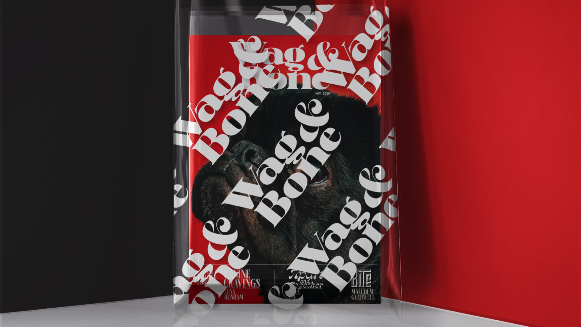 zra Lee magazine design - Wag & Bone