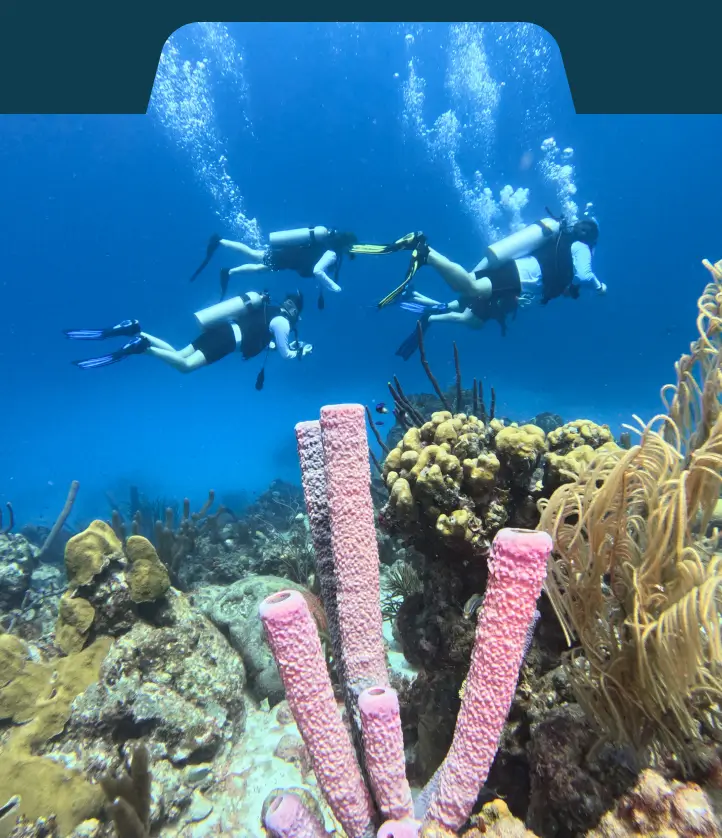 Dive and Drive in Bonaire