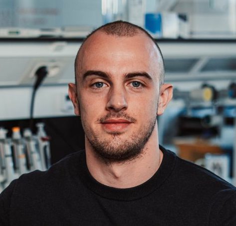 Software user interface