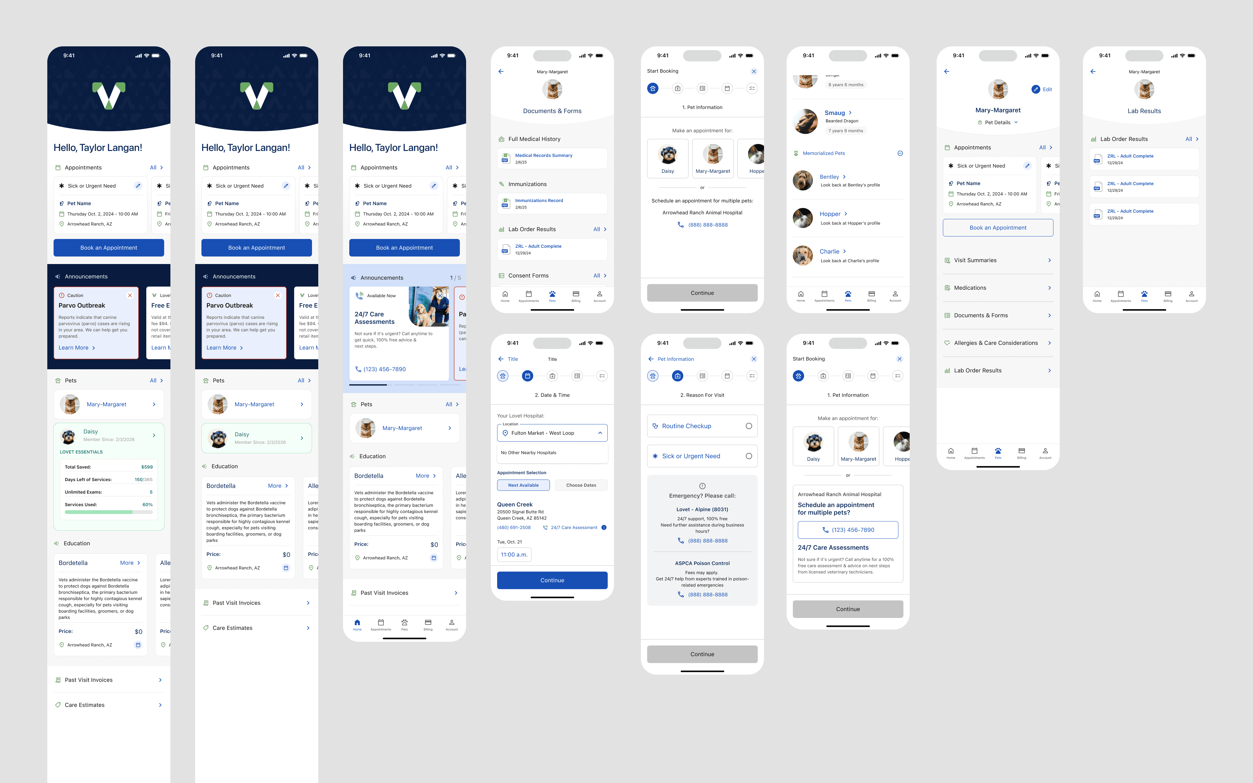 Carlyle.com Homepage completed
