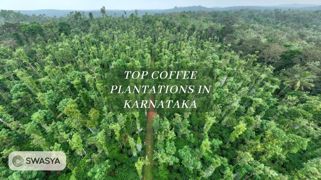 Top Coffee Plantations in Karnataka