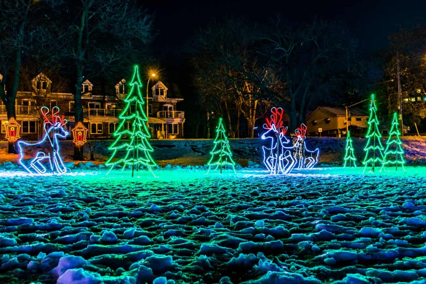 burlington festival of lights