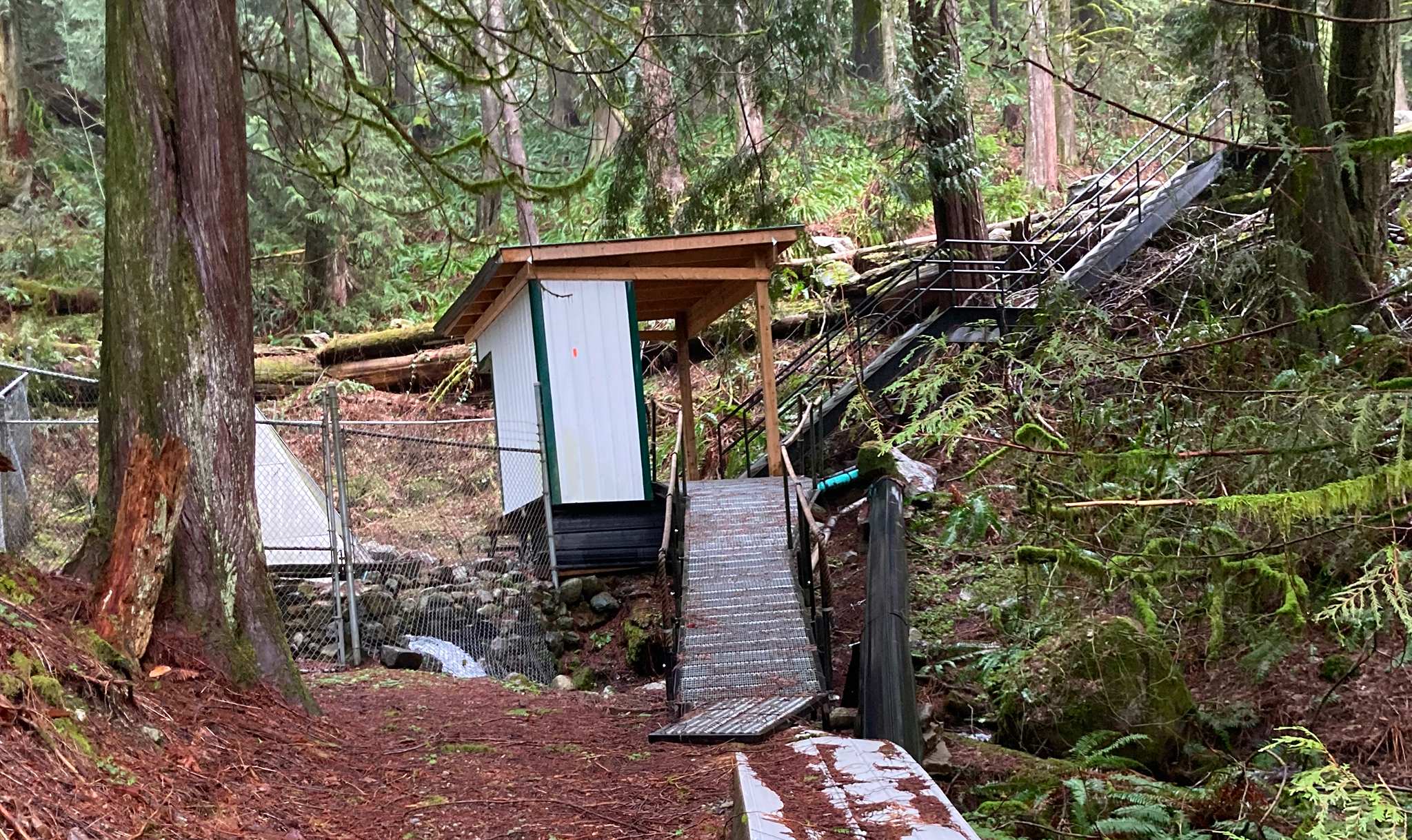 Property pumphouse structure in forested Eastern Hillsides area of Chilliwack property