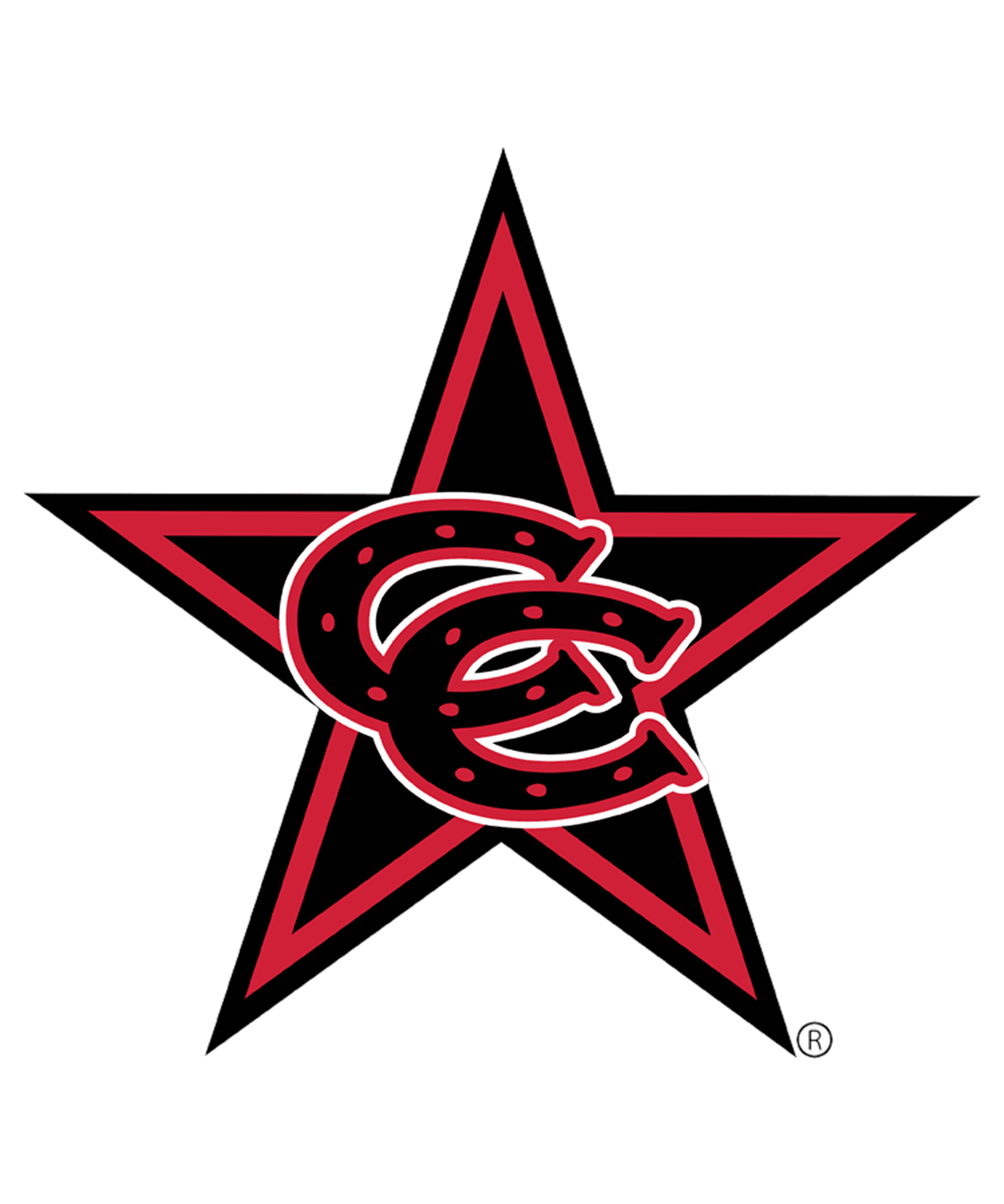 Coppell High School logo – students from Coppell have participated in the RISE summer program, gaining research experience and academic mentorship.