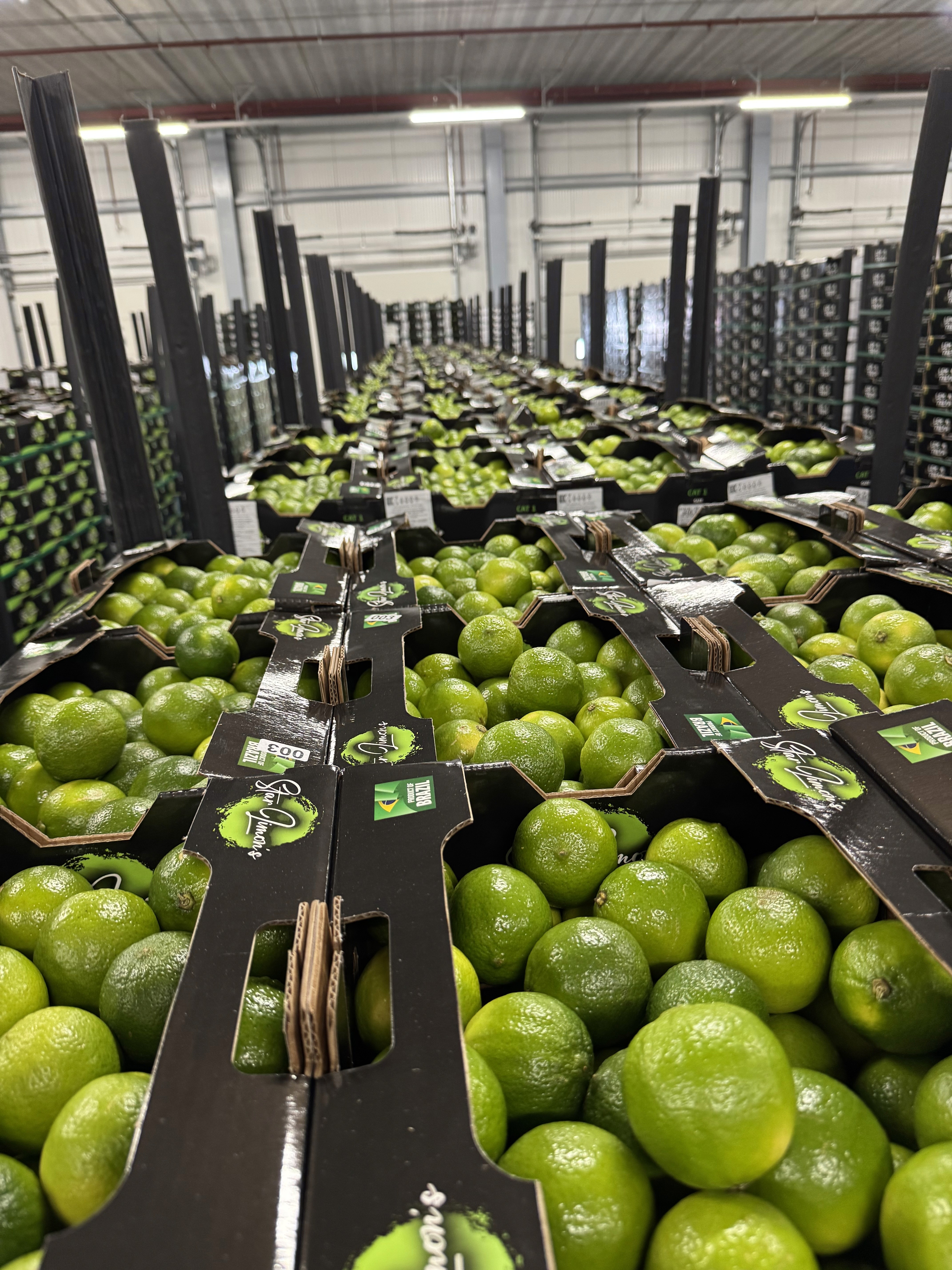 The image featured at the top of the about us page #2