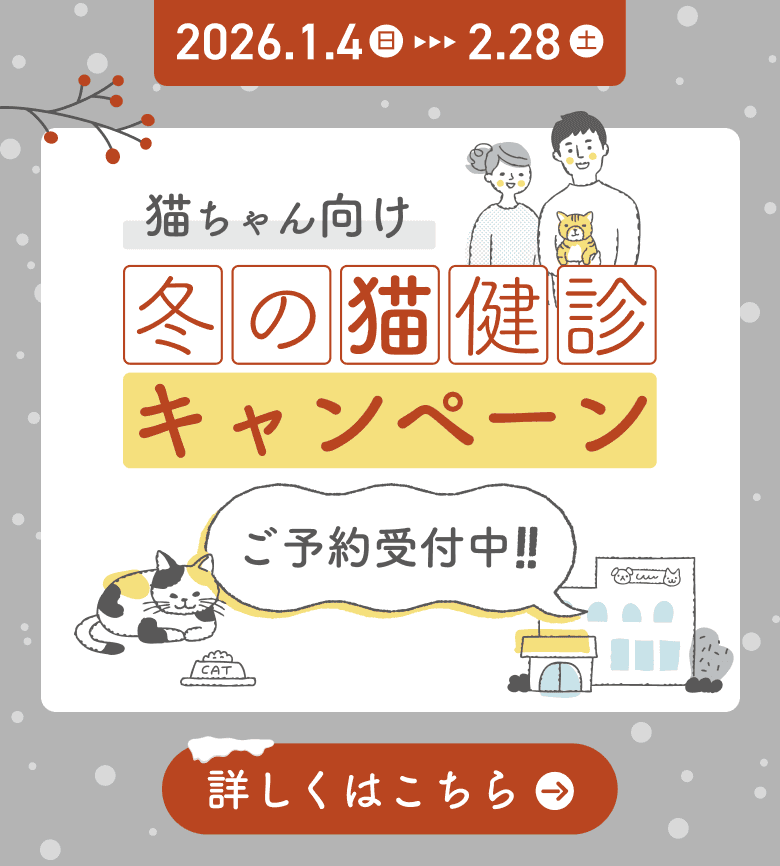 冬の健康診断キャンペーン（猫の健診・血液検査・X線検査）