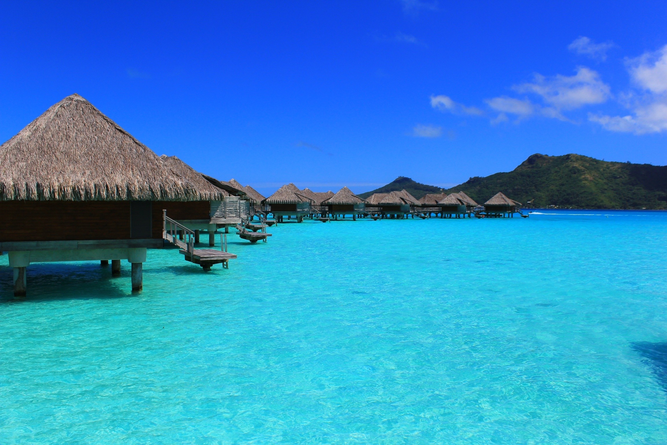 a train travels down the tracks