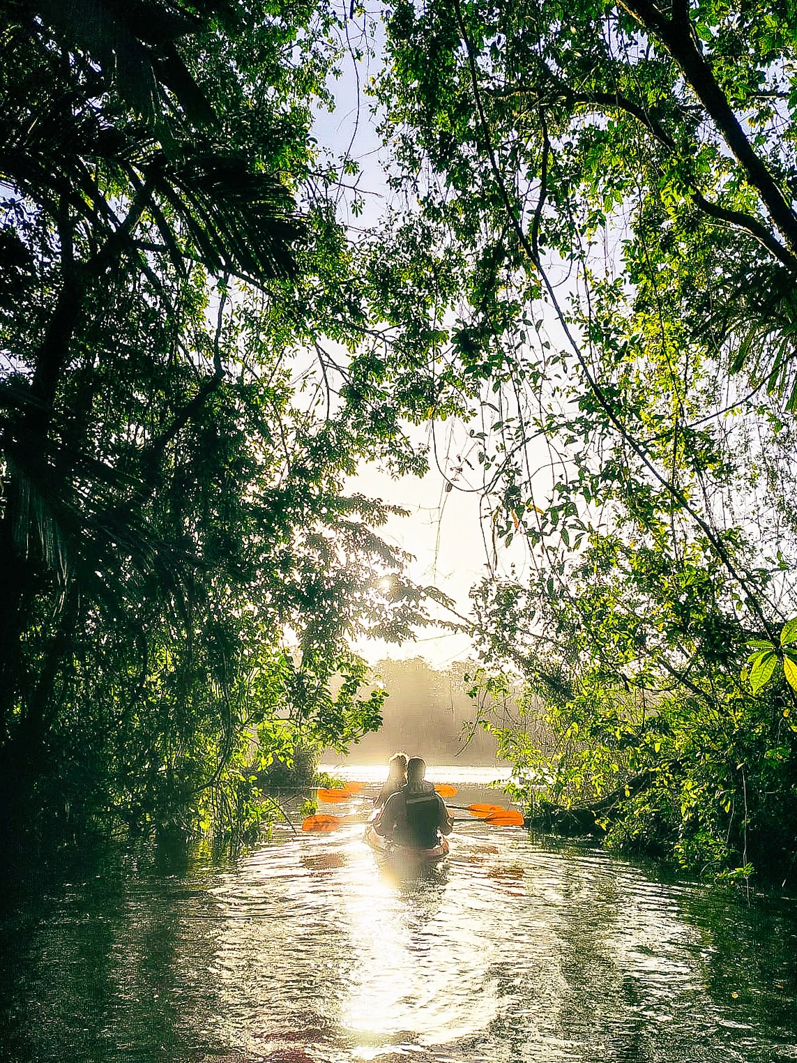 man standing near cliff looking at body of water during daytime