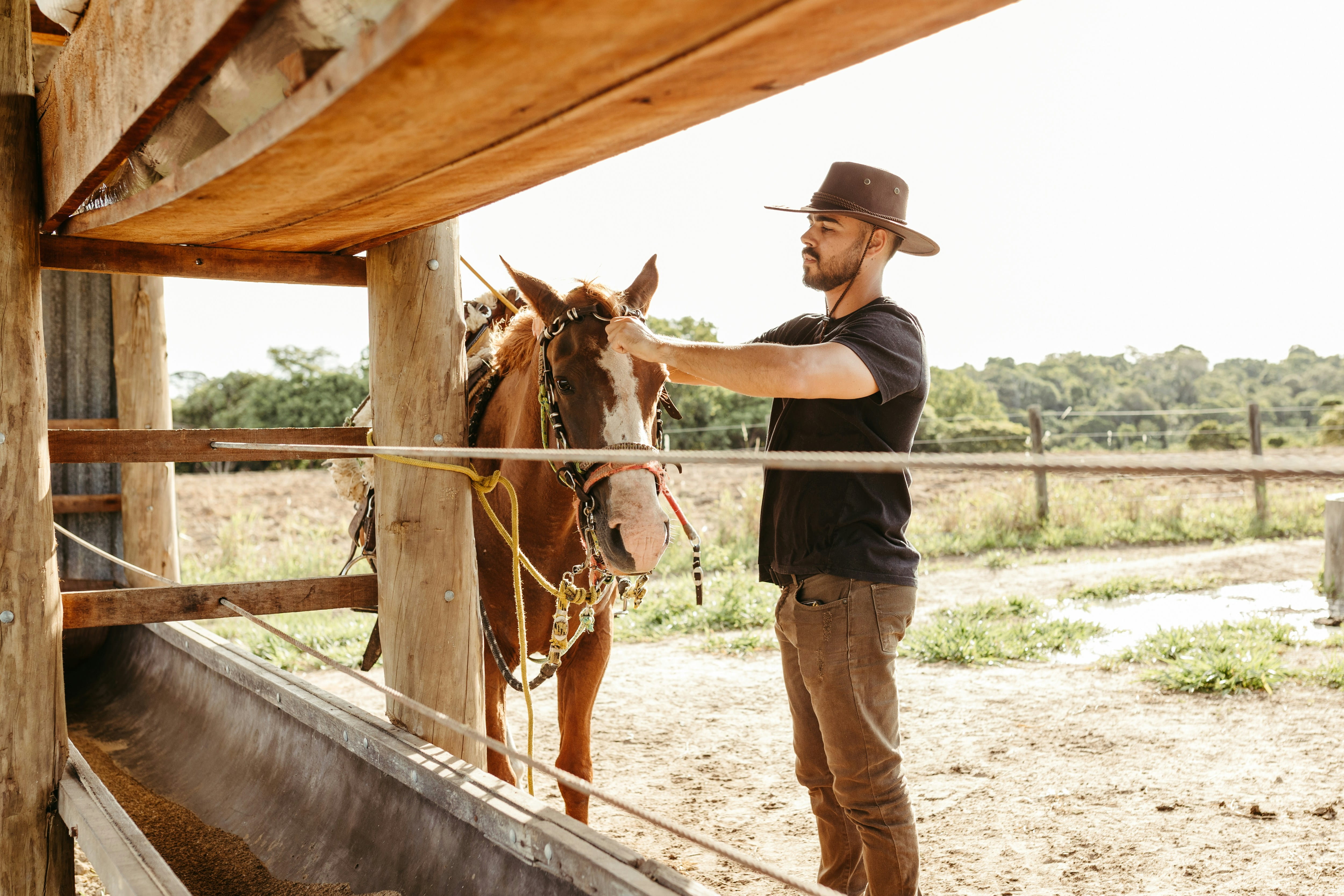 Stable Grazer resource thumbnail