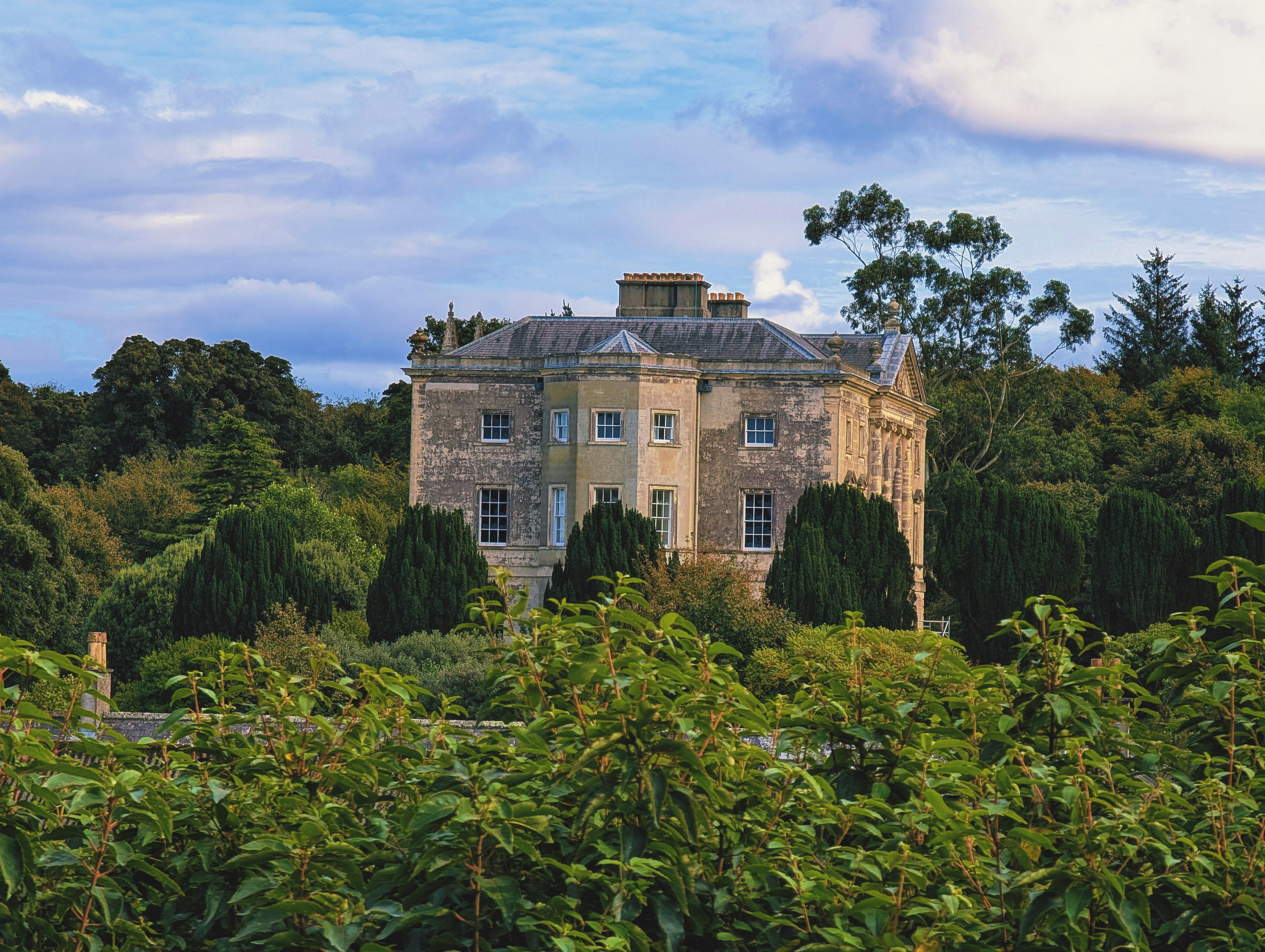 A traditional building surrounded by forest-like trees.