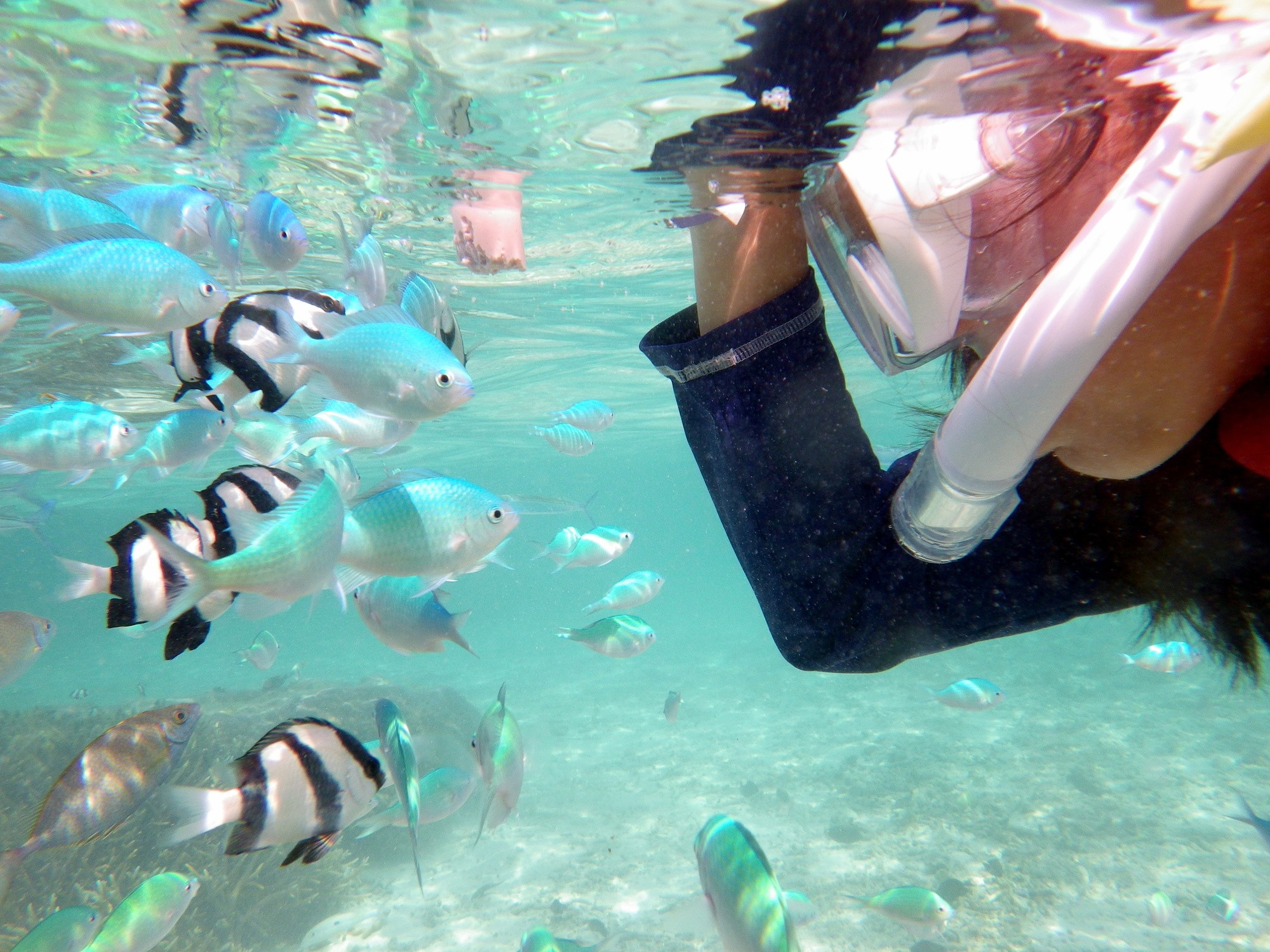 island under white sky