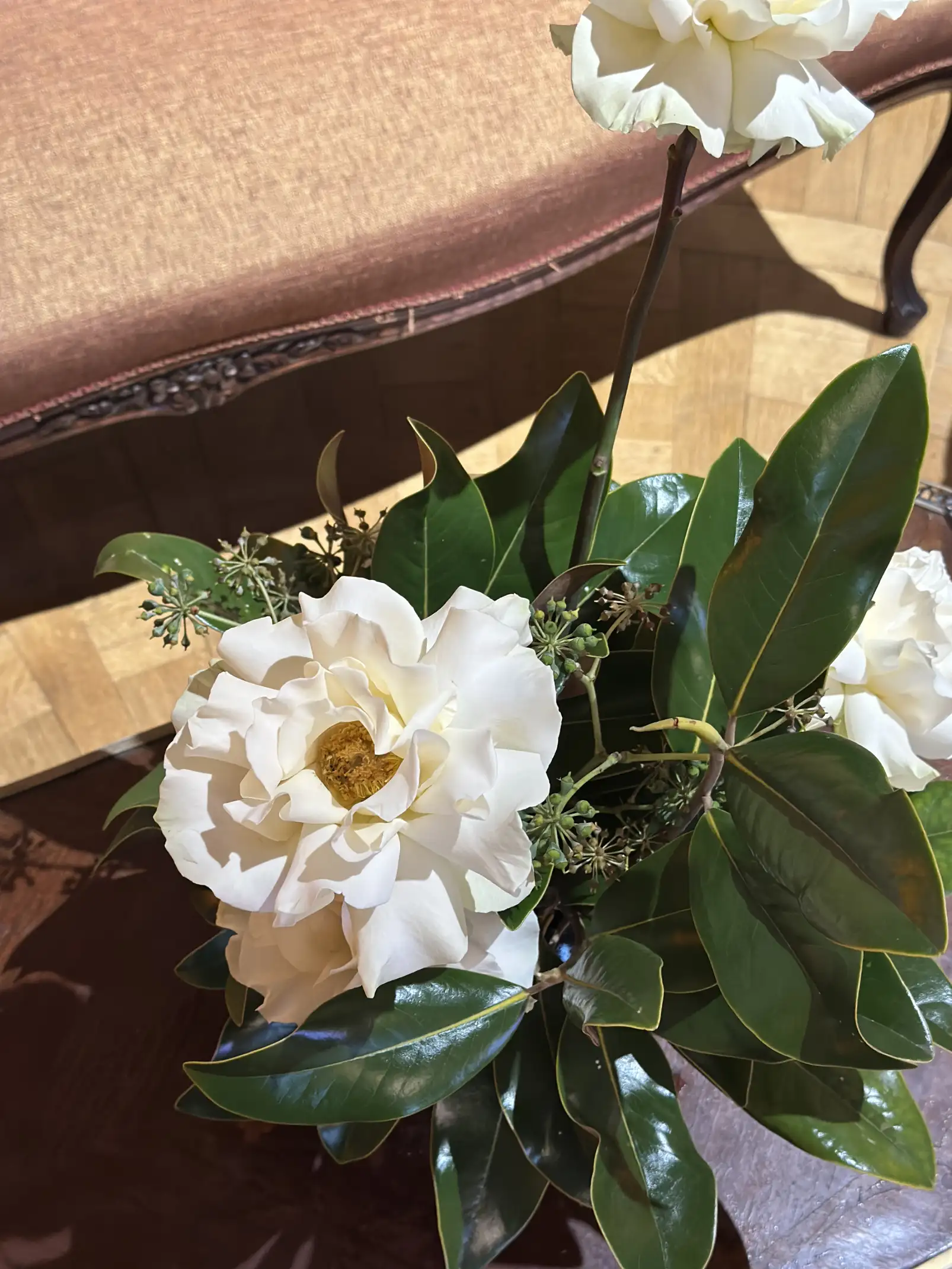 Arreglo floral con grandes flores blancas y hojas verdes brillantes de borde dorado, colocado sobre una mesa de madera junto a un sofá tapizado en tono rosado, iluminado por luz natural.