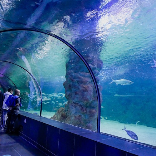 维亚海洋水族馆