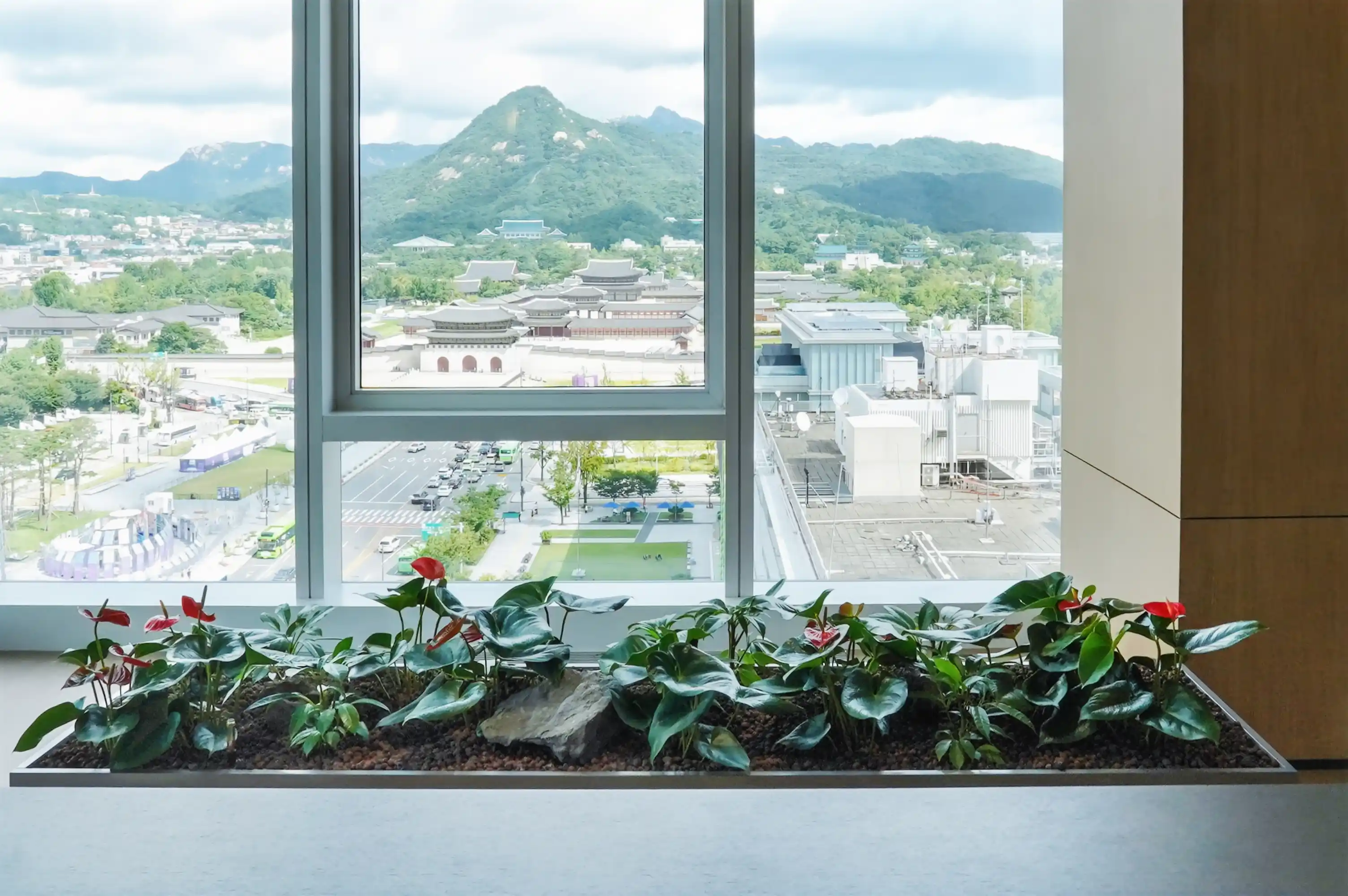 사옥 오피스 라운지 창가 안스리움 플랜터 조경 광화문이 내려다보이는 배경