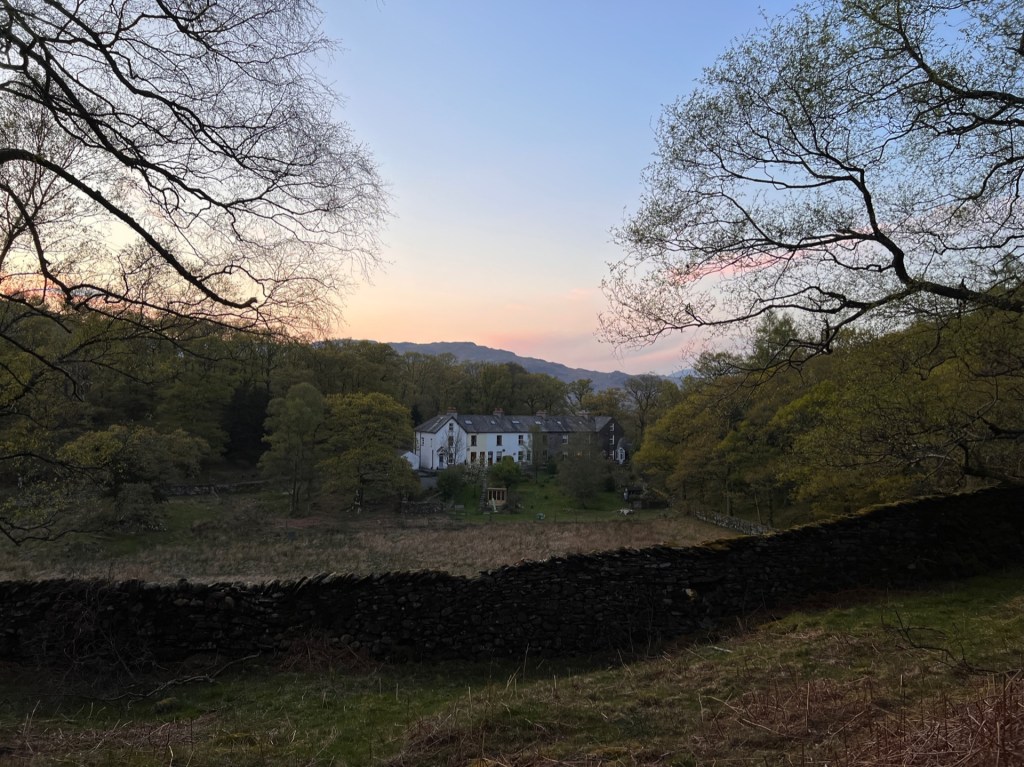 A set of small white houses in the forest, behind a stone dry wall.