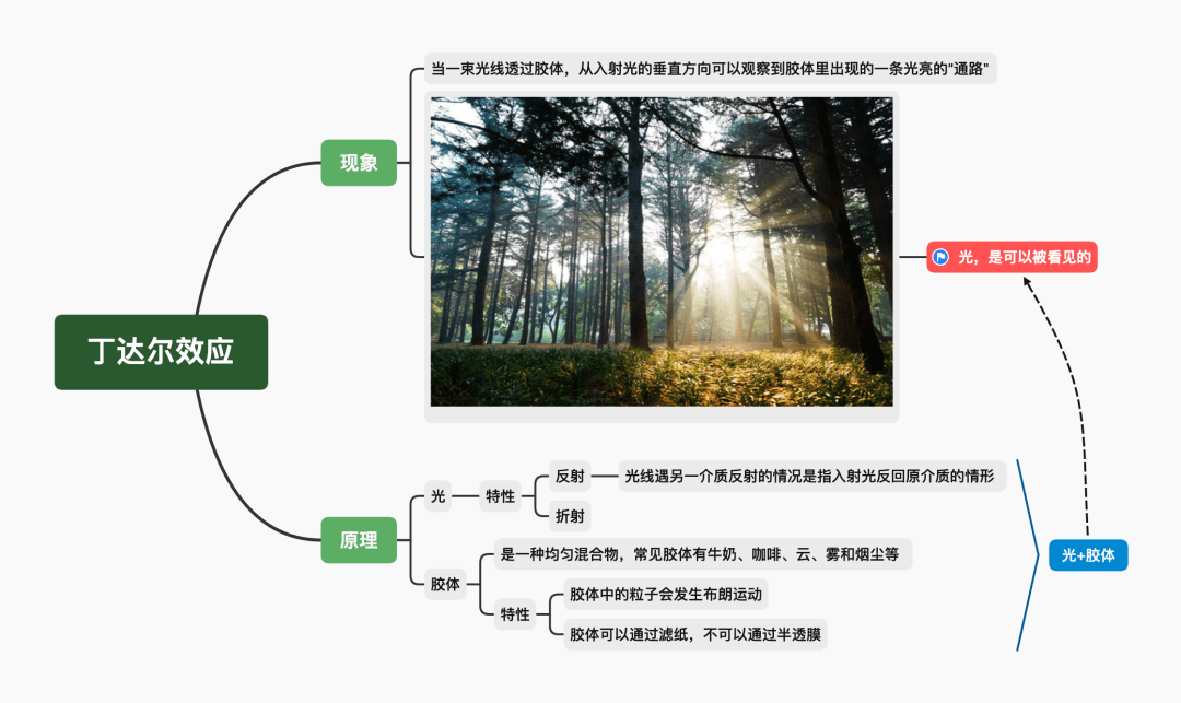 光与物质关系图