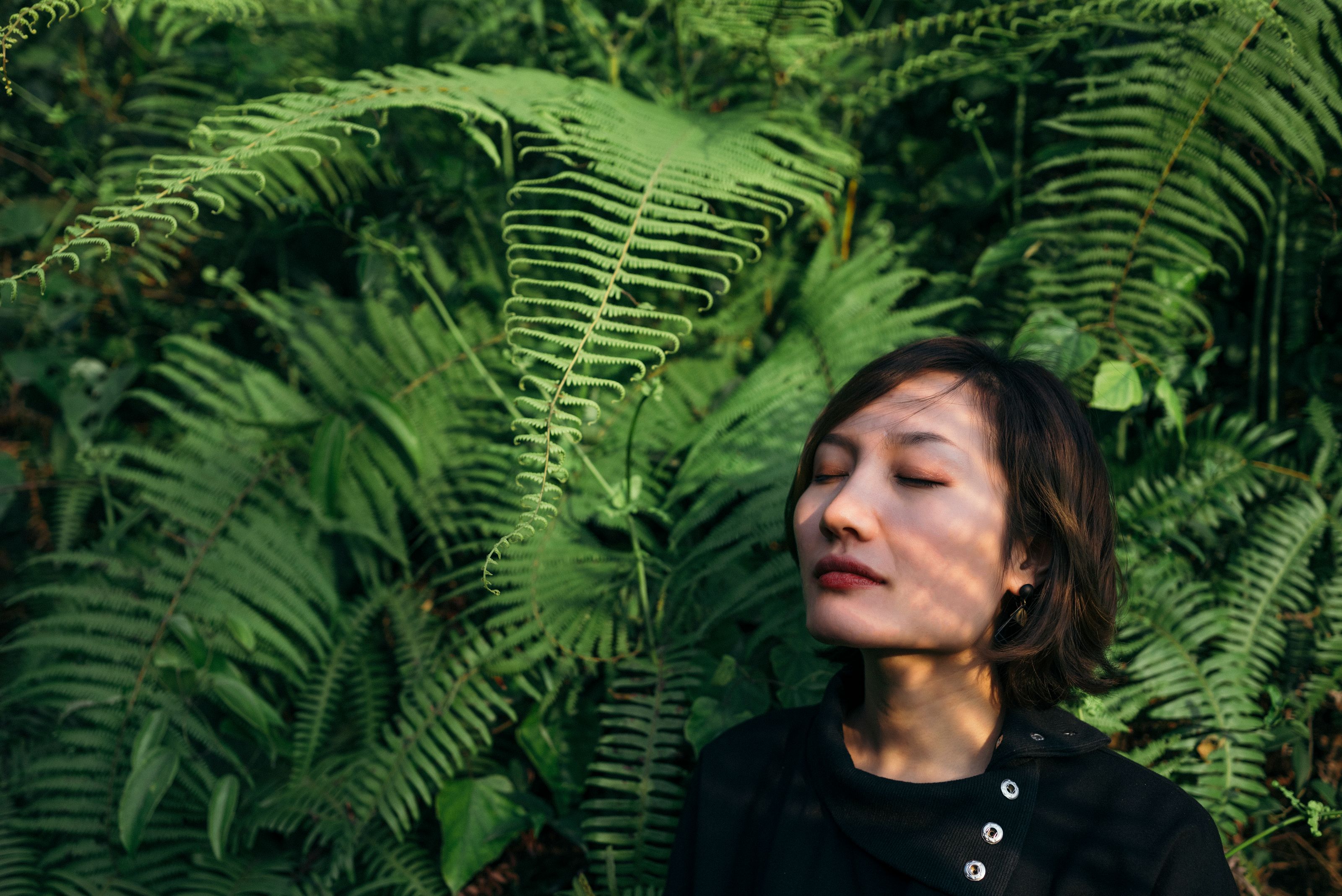 A woman resting among ferns