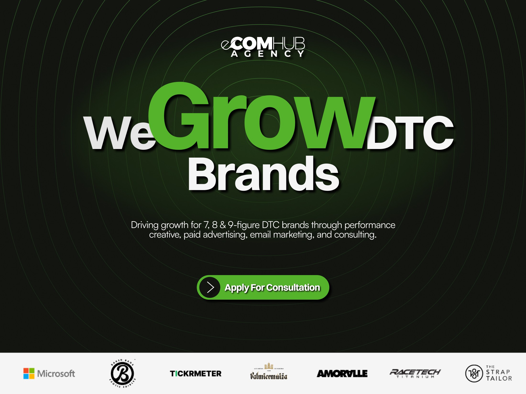 eCOMHUB agency website hero section image