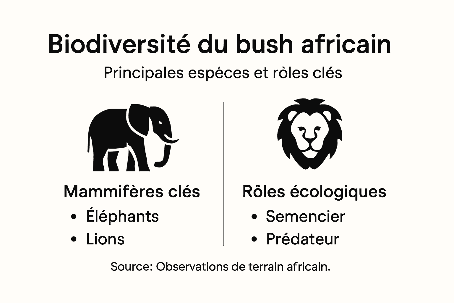 Découvrez en un clin d’œil la richesse de la vie sauvage dans le bush africain grâce à cette infographie dédiée à sa biodiversité exceptionnelle.
