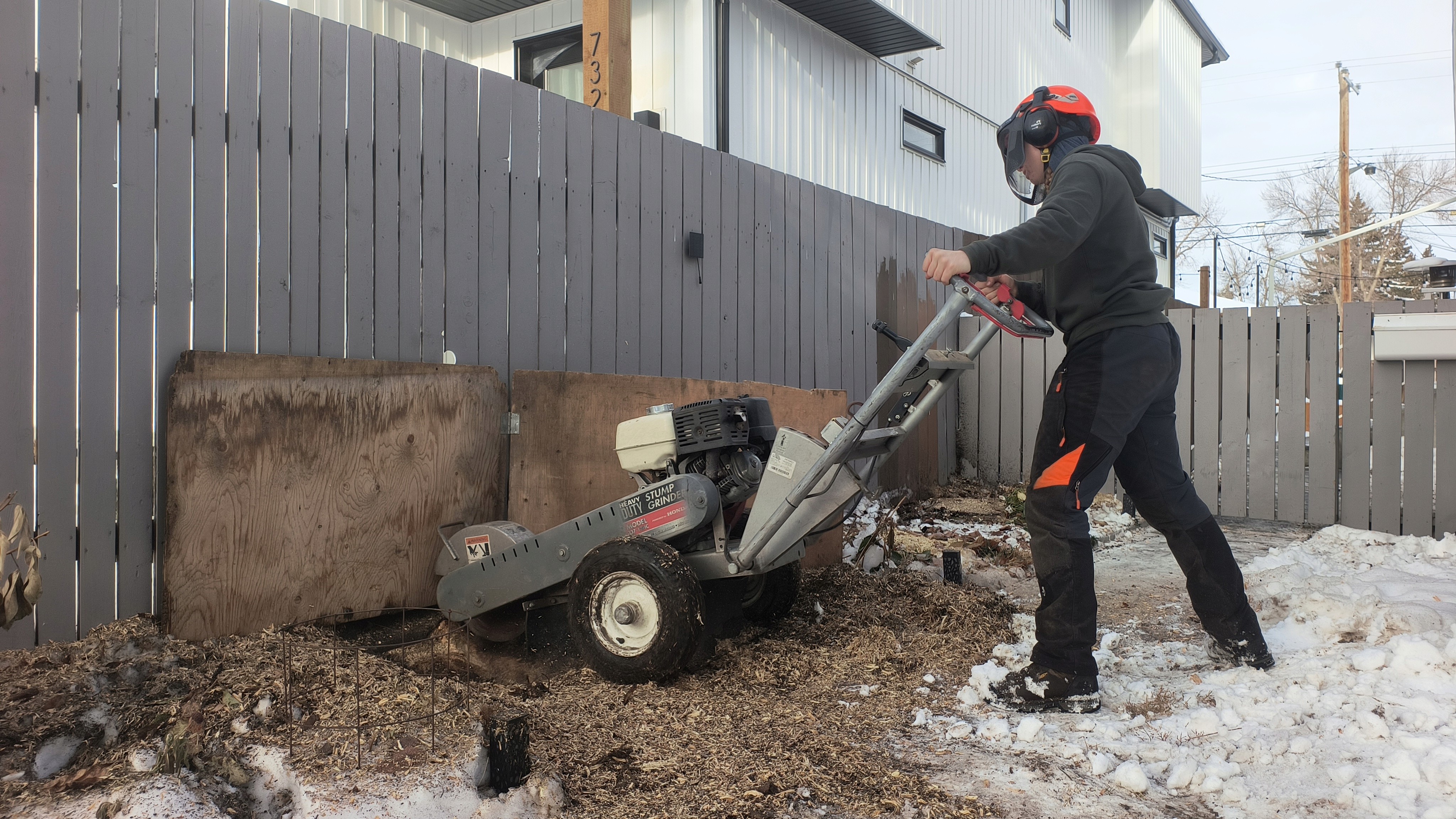 An arborist grinding a stump.