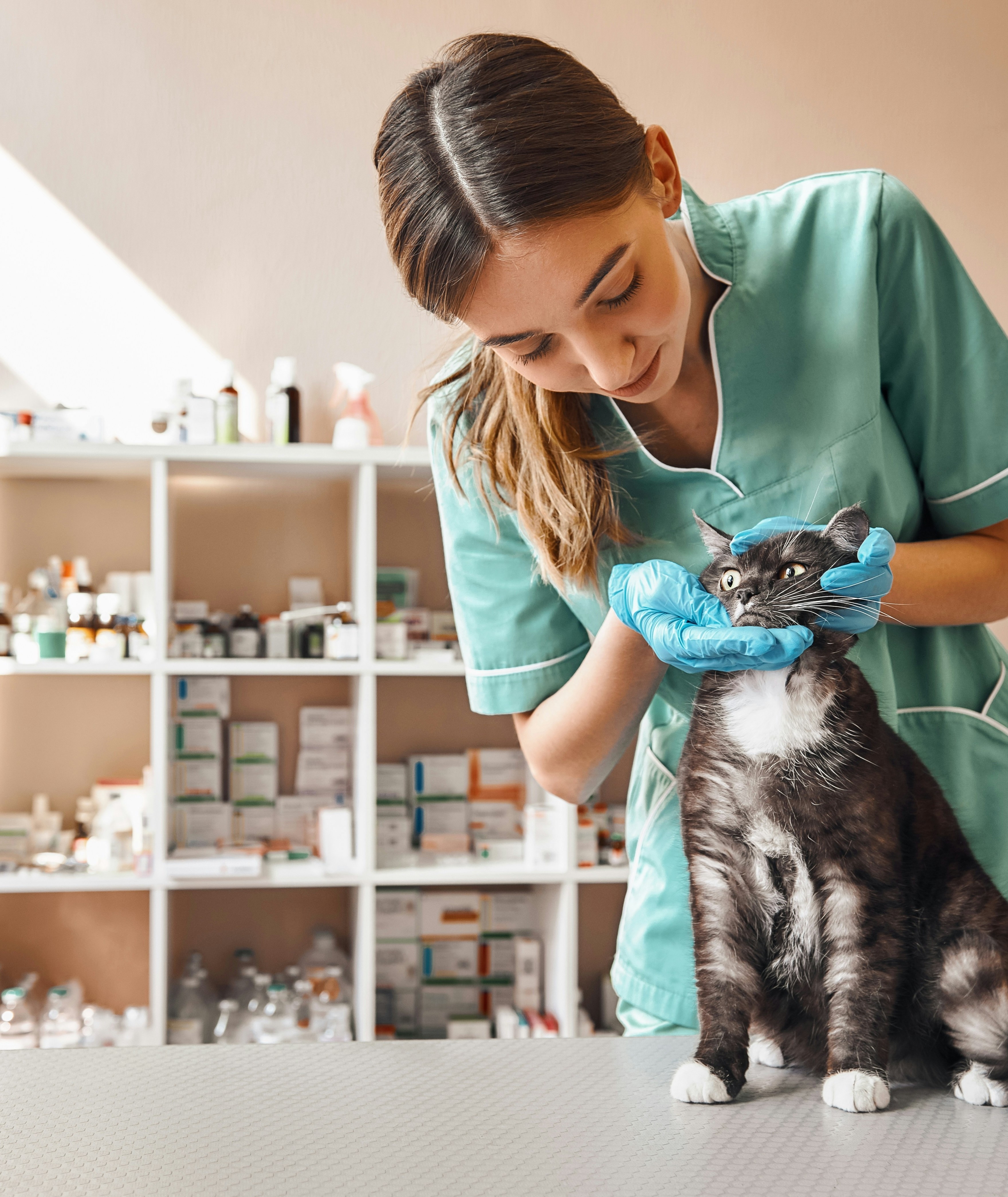 Two woman holding dogs