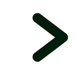 Next Arrow