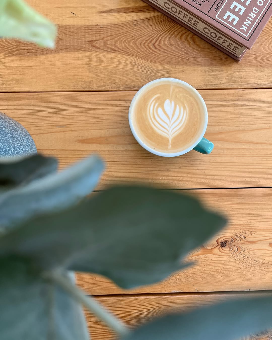 La Paloma Cafe interior