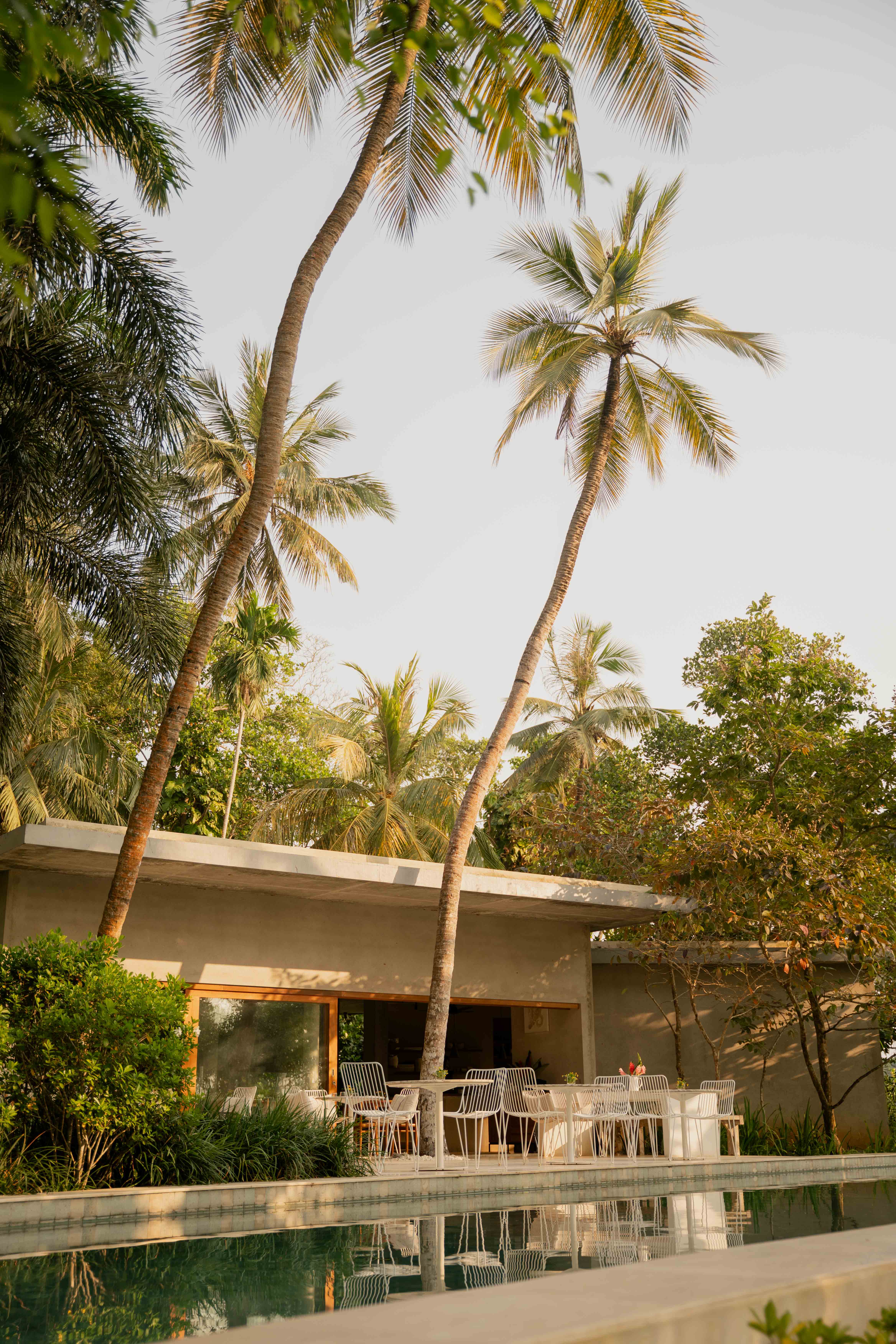 Restaurant of a boutique hotel surrounded by palmtrees at golden hour