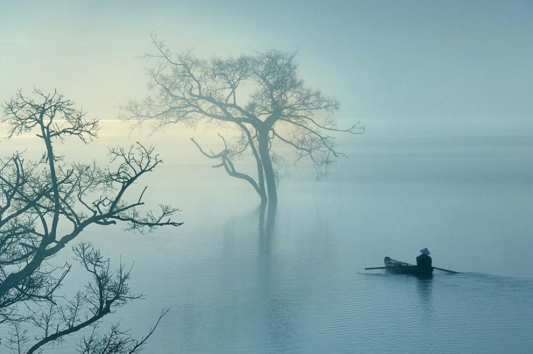 Reel image