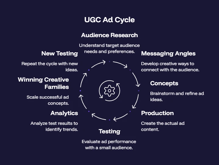 A circular diagram titled "UGC Ad Cycle" showing eight stages arranged clockwise around a central gear icon: Audience Research, Messaging Angles, Concepts, Production, Testing, Analytics, Winning Creative Families, and New Testing. Each stage carries a one-line description, and curved arrows connect them into a continuous loop, illustrating how UGC creative production feeds performance data back into the next round of concepts rather than starting from scratch each time.