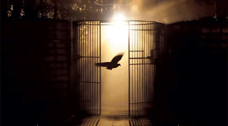 Zindandan Mektup Var