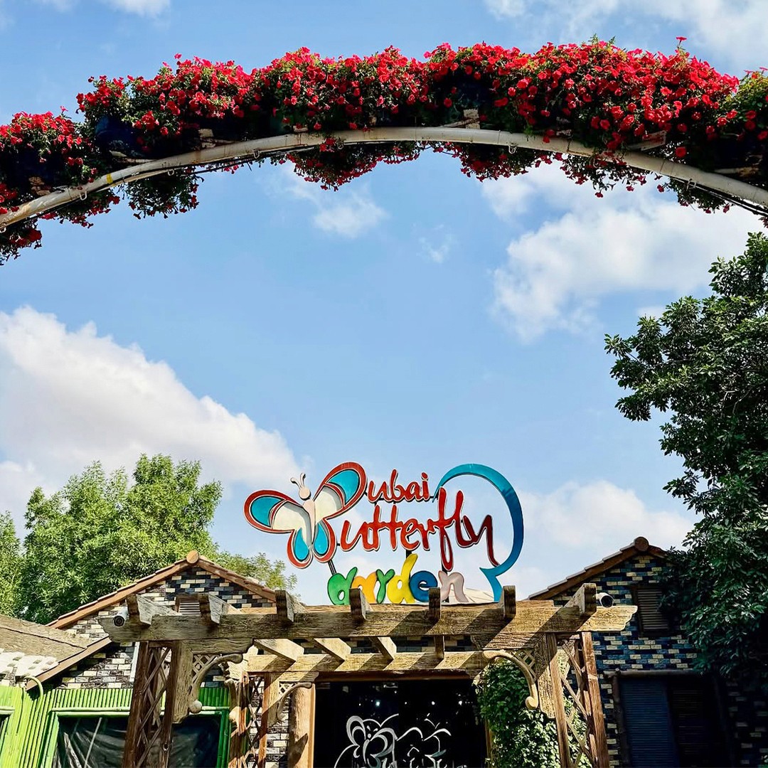 The Dubai Butterfly Garden entrance framed under a flower-covered archway.&nbsp;