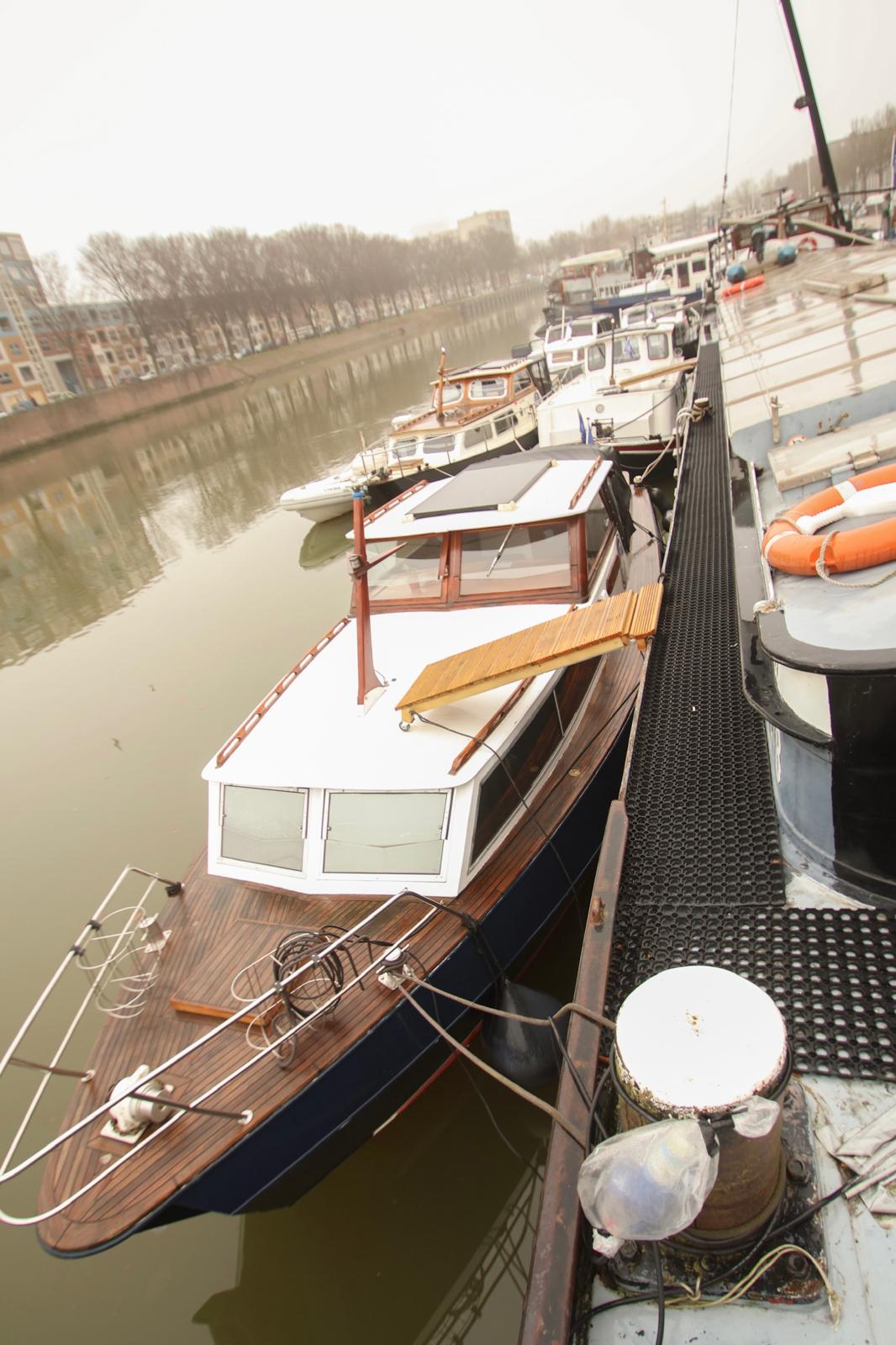 Modern living room with purple sofa, colorful rug, and open shelving