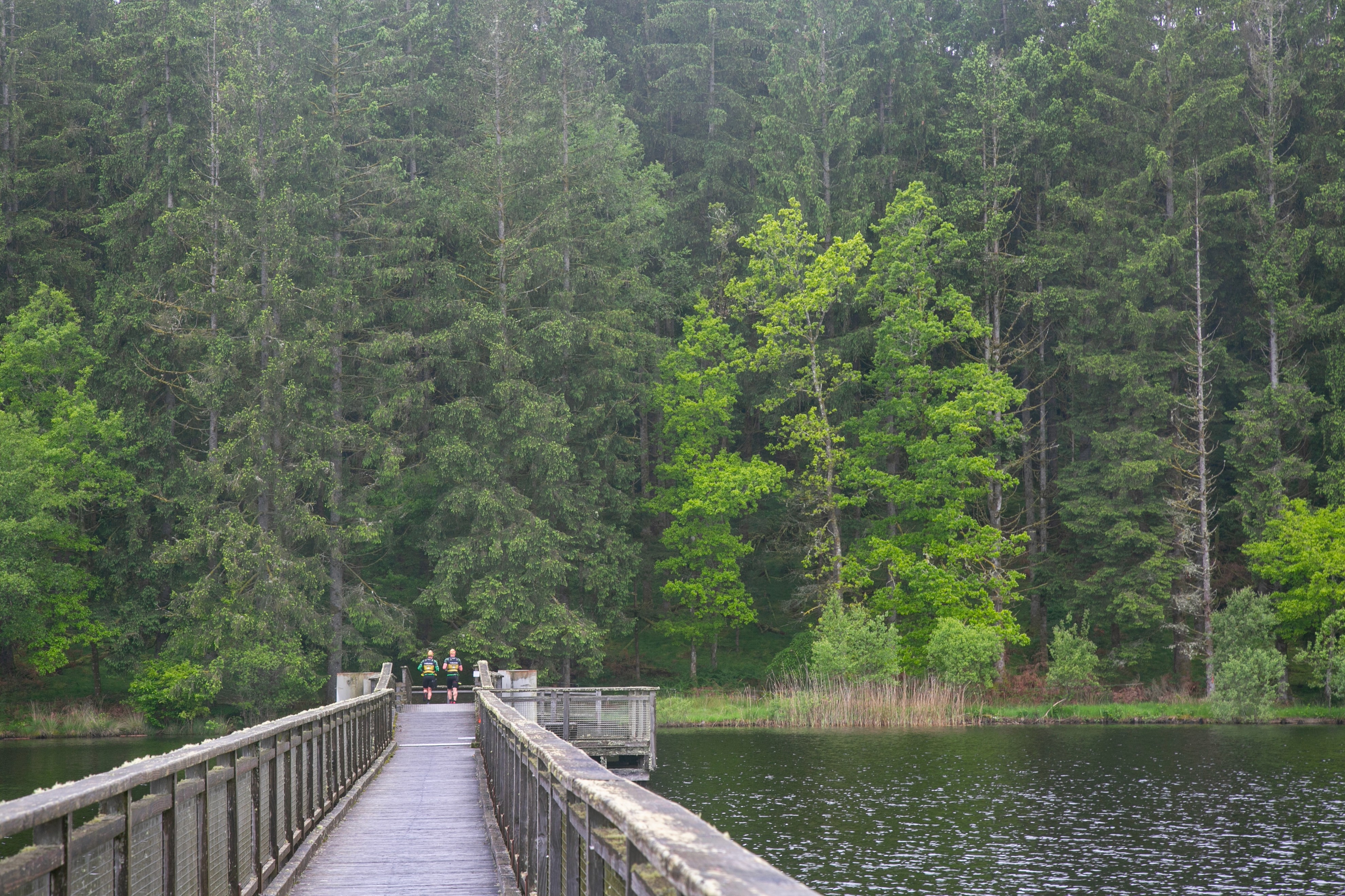 DEBUTANT SWIMRUN COURSE