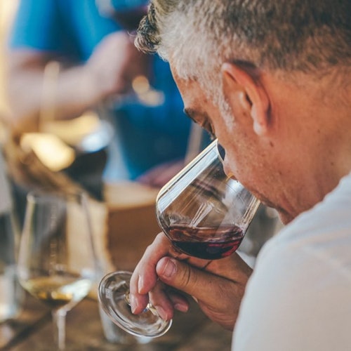 Tour de cata de vino Amarone desde Verona