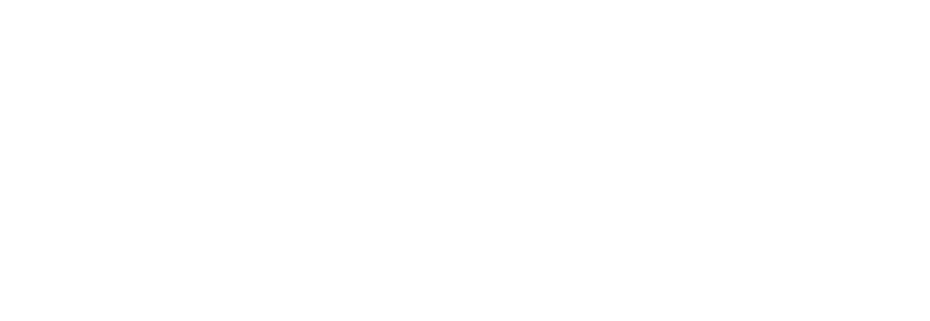 Perform Template Logo