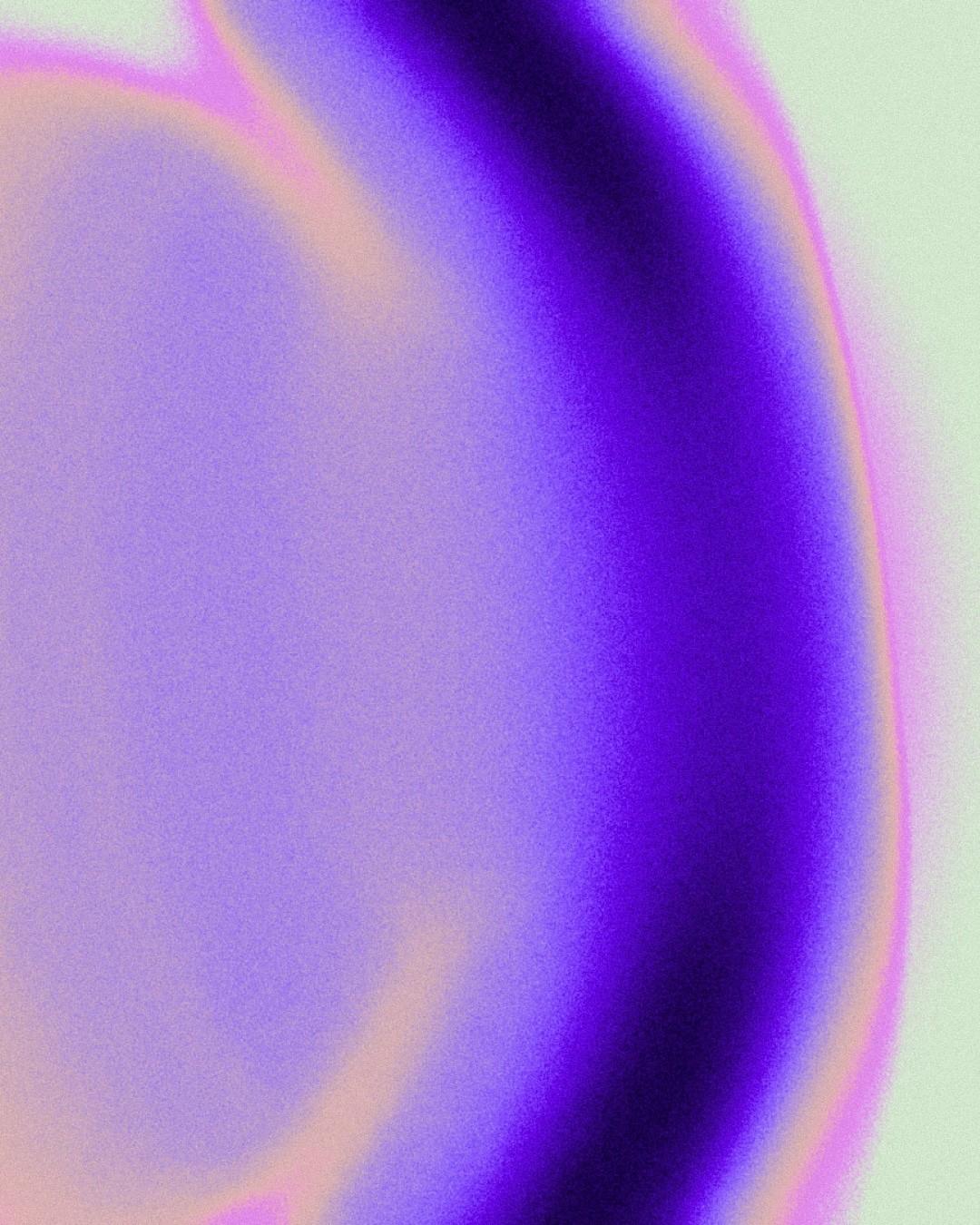 Dry corn stalks in a field under a cloudy sky