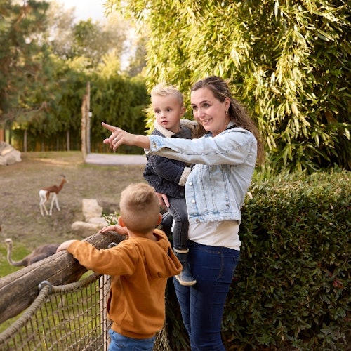ZooParc Overloon: Entry tickets in Overloon