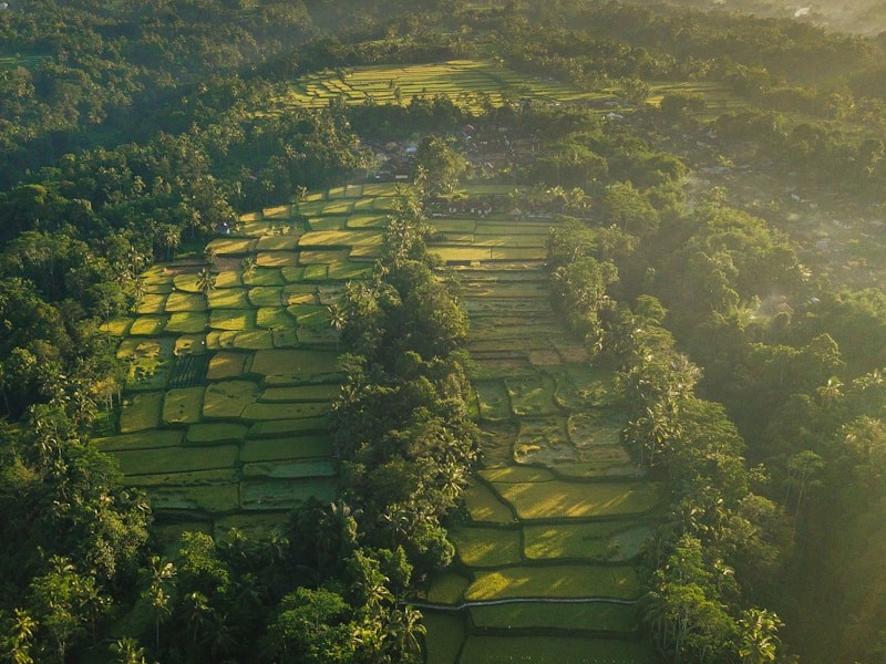 red train travelling near body of water