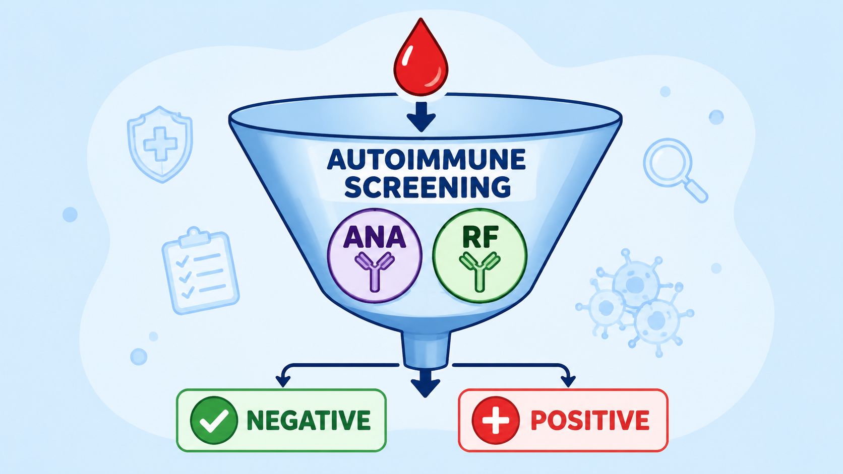 A diagram illustrating the autoimmune screening process using a funnel with ANA and RF tests leading to results.