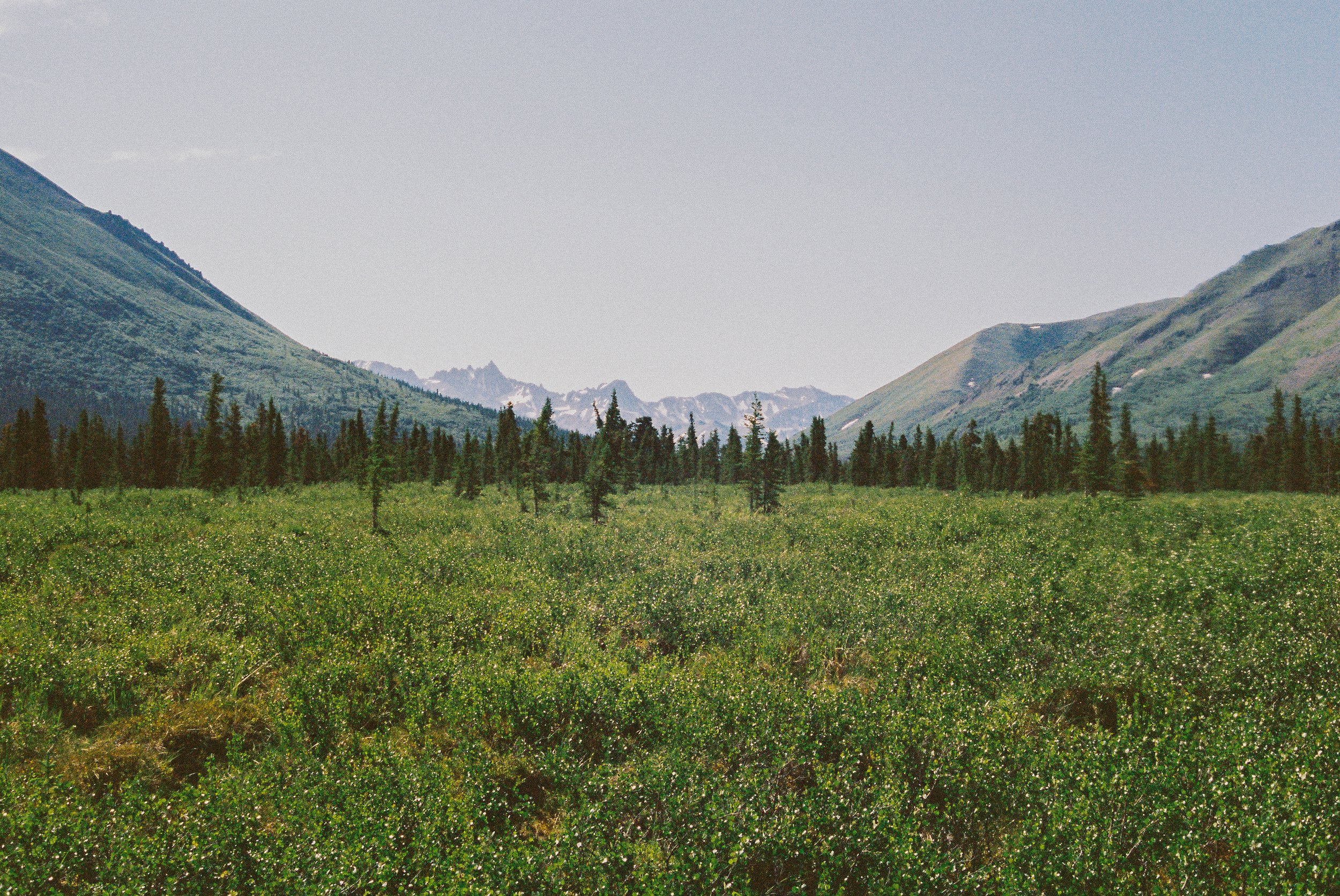 Two screens from a fictional AI mobile app on an orange gradient background