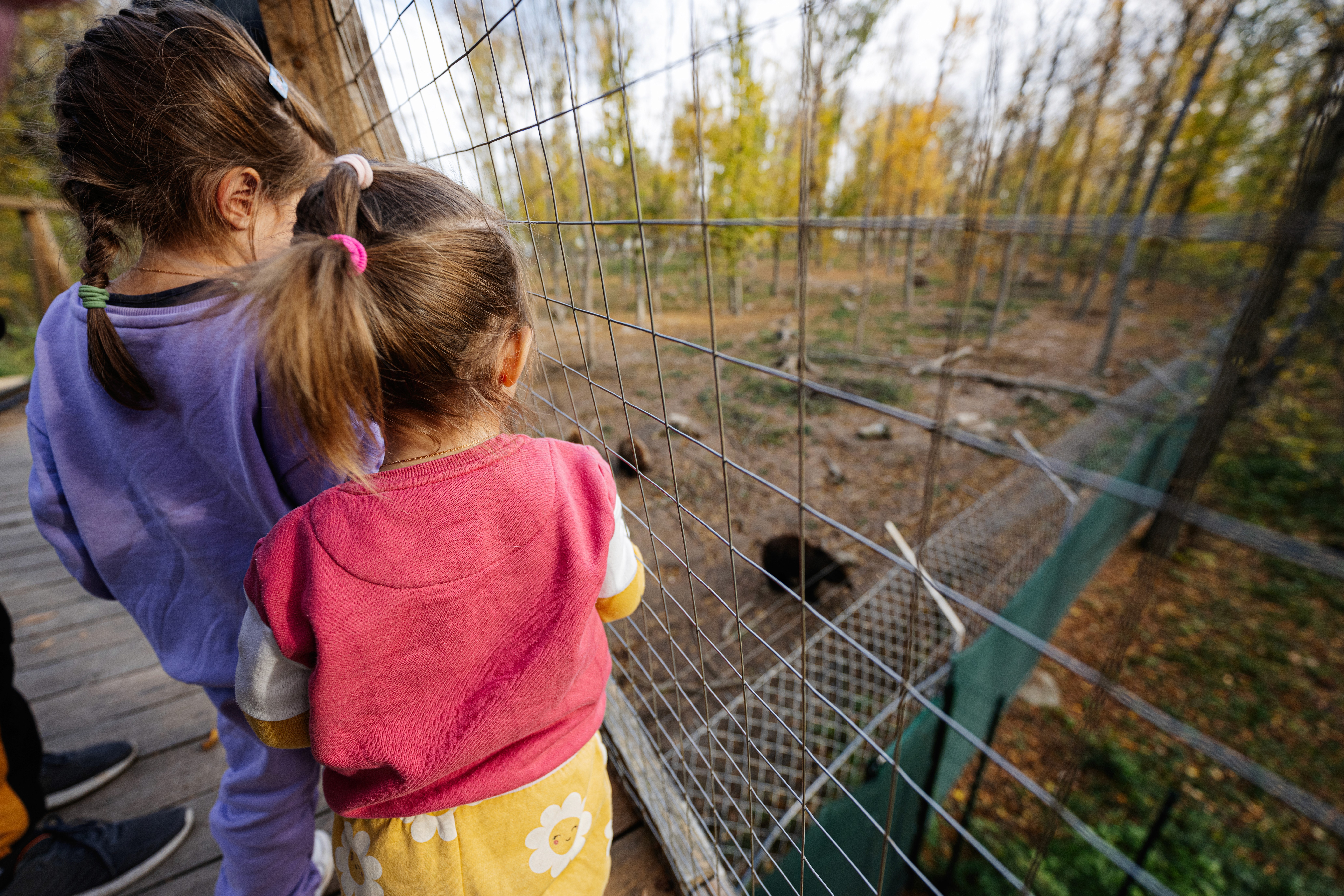 A kid practicing surfing