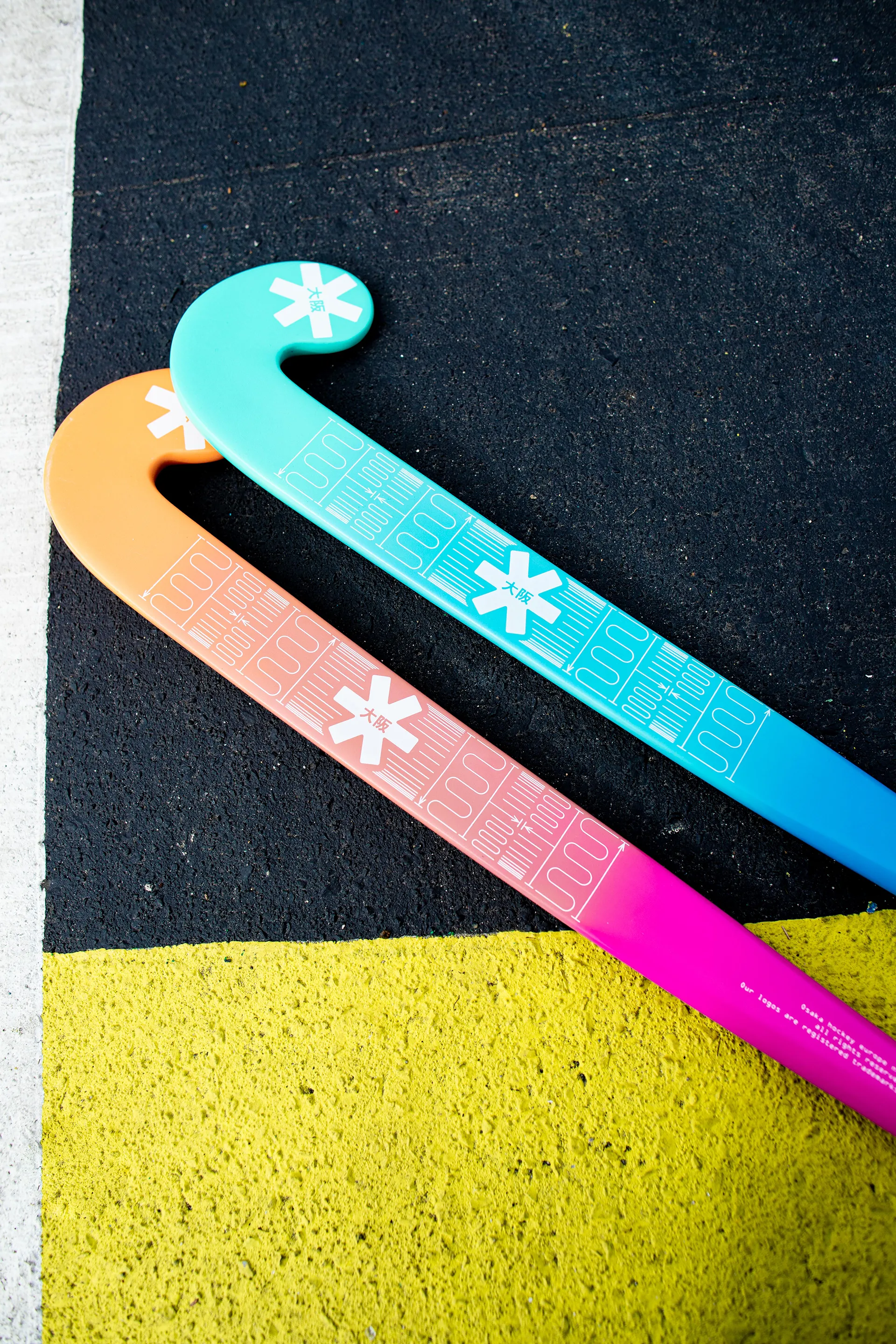 Large Project Gallery Image #1