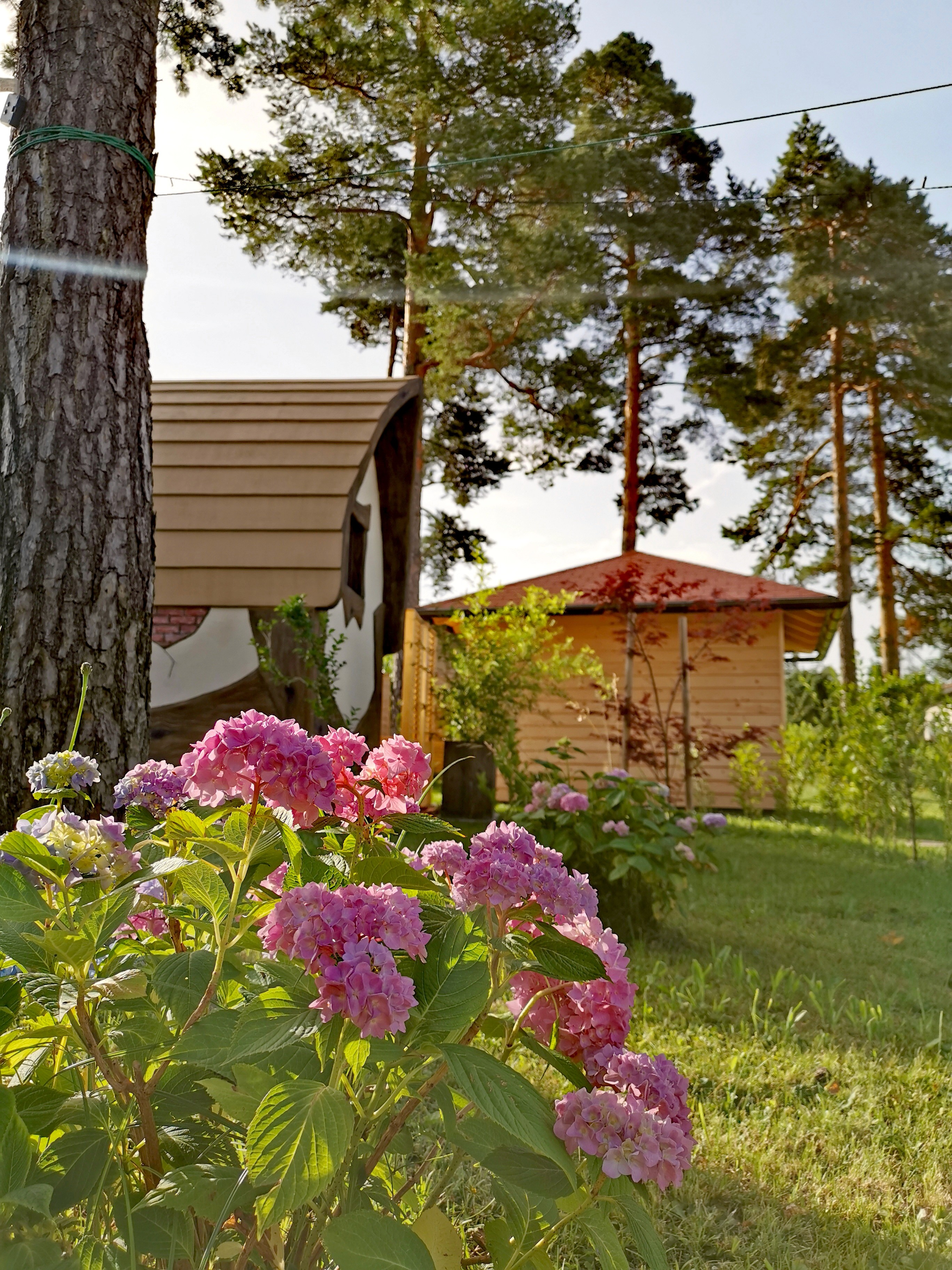 Romantični wellness pobeg v naravo z lesenimi hiškami in cvetočim vrtom