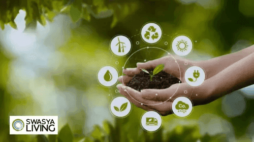 10 Simple Sustainable Lifestyle Tips to Reduce Your Carbon Footprint