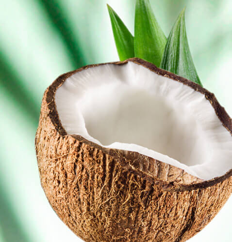 Aceite de de coco