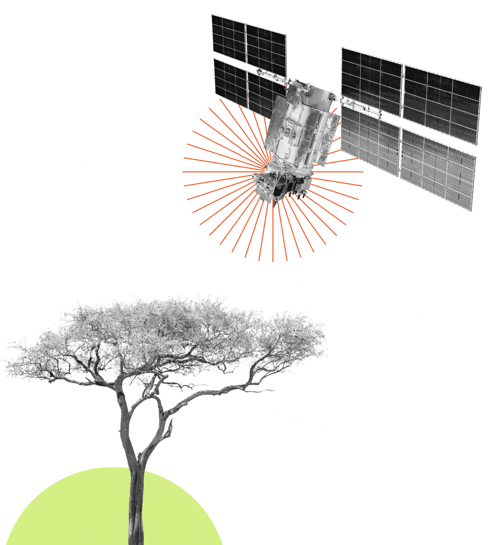 Carbon Direct supports deep diligence for Microsoft’s carbon removal deal with re.green