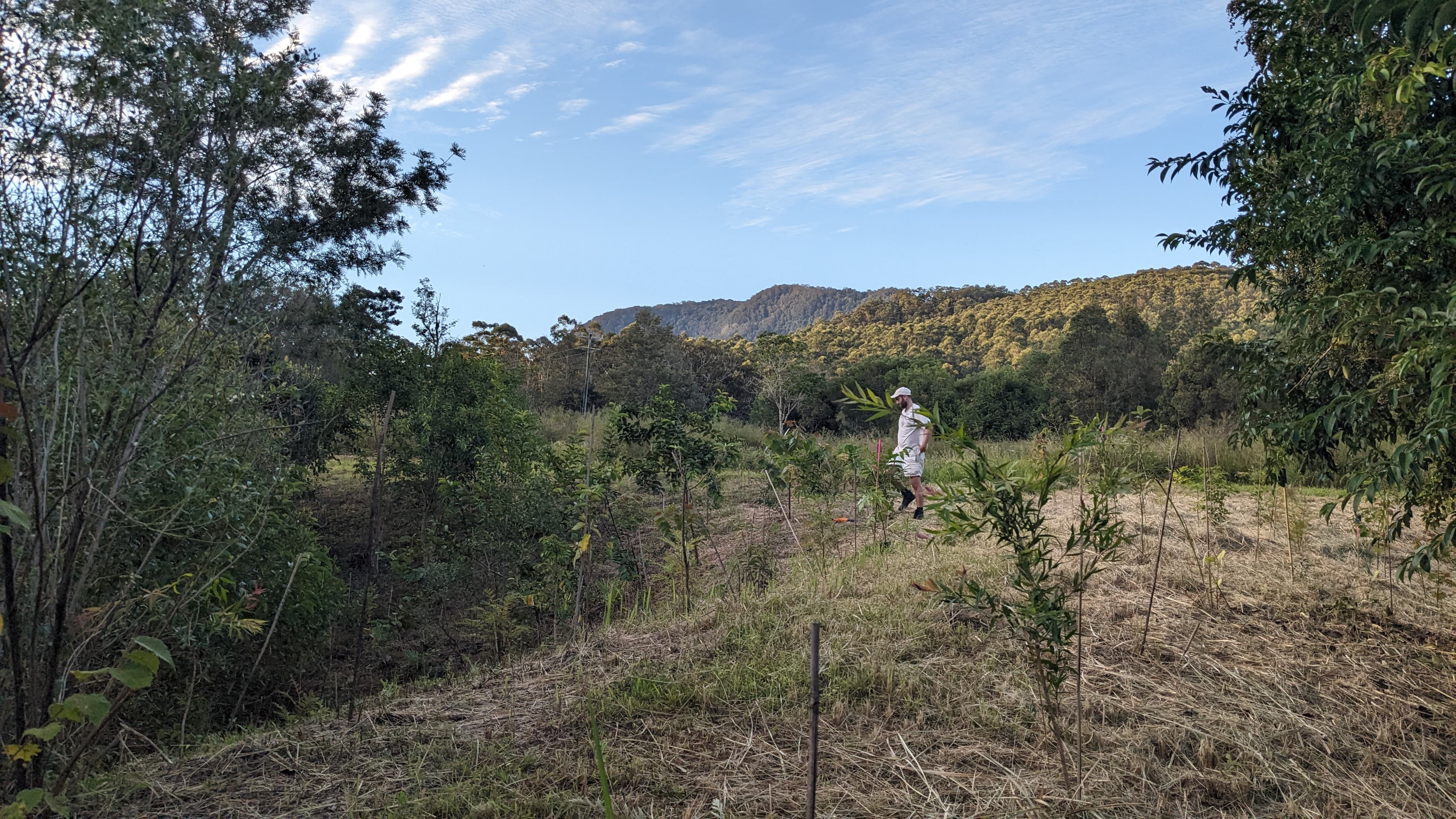 Beautiful landscaped garden with greenery and outdoor design elements.
